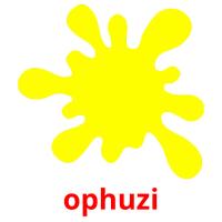 ophuzi card for translate