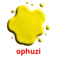 ophuzi picture flashcards