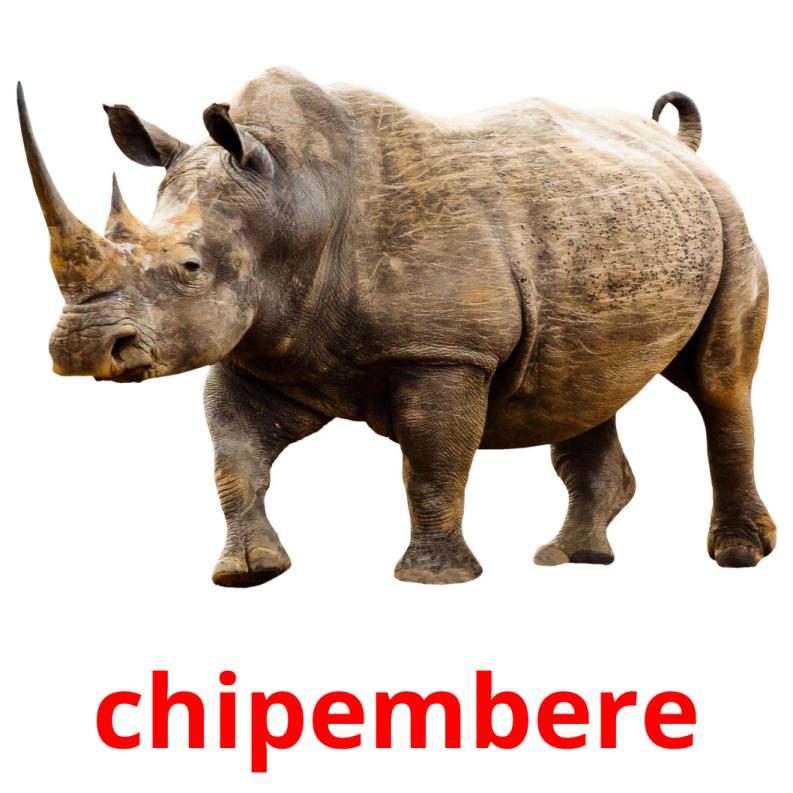 chipembere picture flashcards