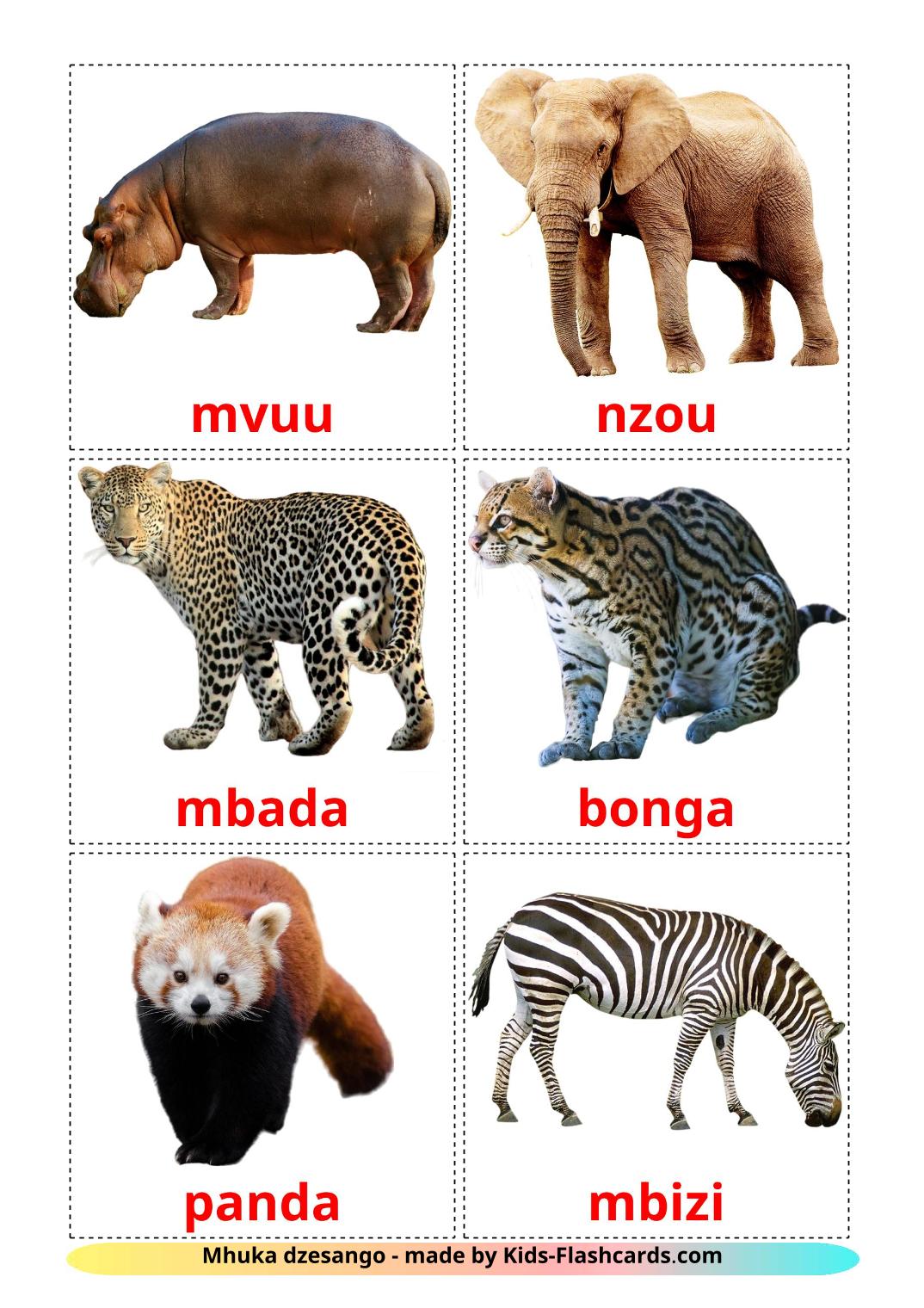 Animales de la Selva - 21 fichas de zulú para imprimir gratis 