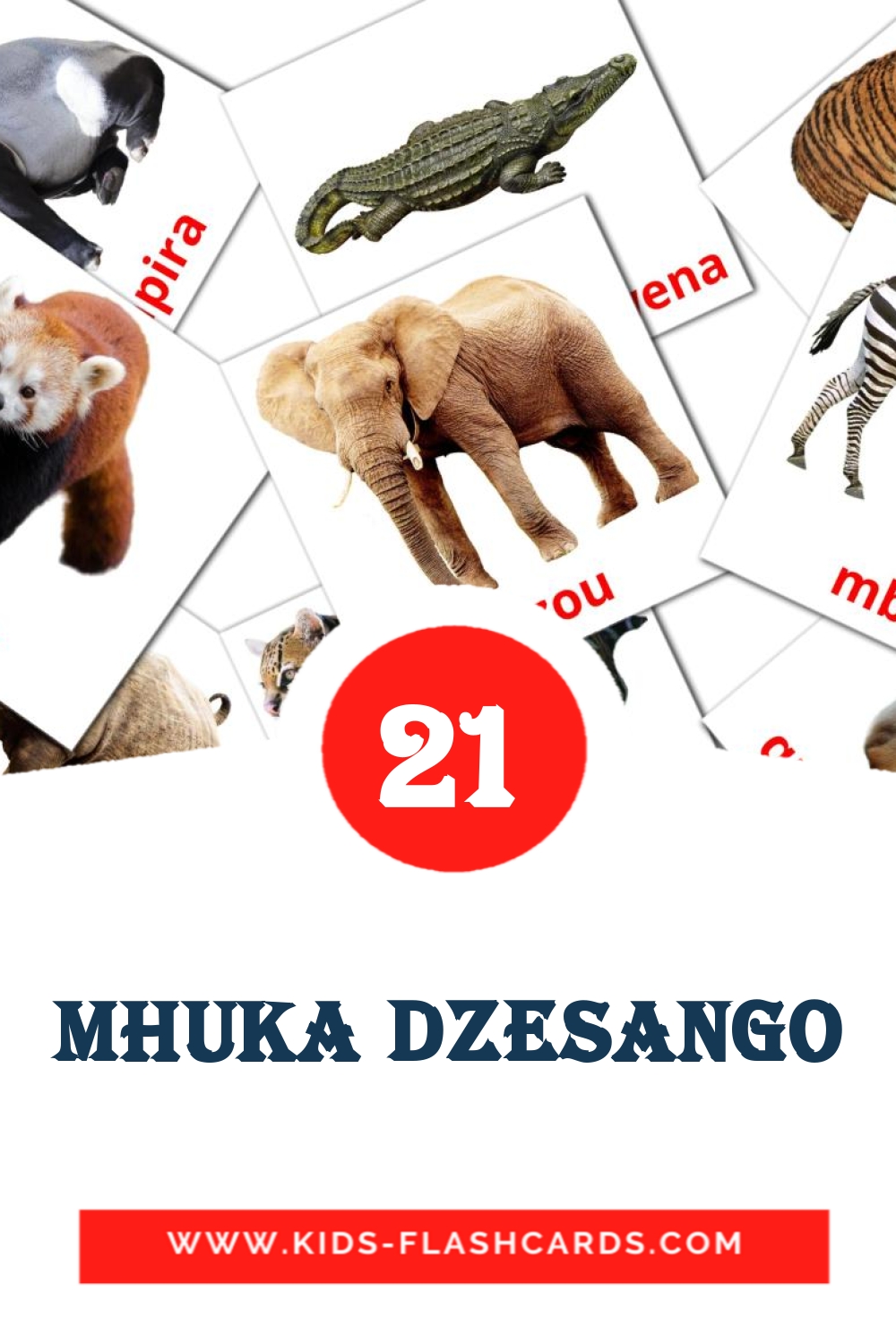21 cartes illustrées de Mhuka dzesango pour la maternelle en zoulou