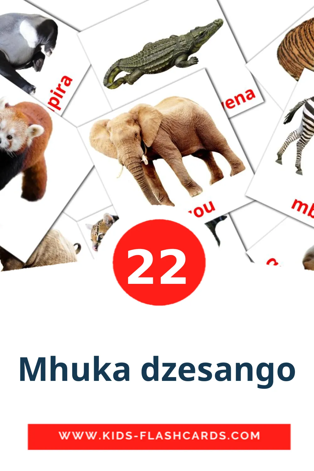 22 Mhuka dzesango Picture Cards for Kindergarden in zulu