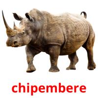 chipembere card for translate