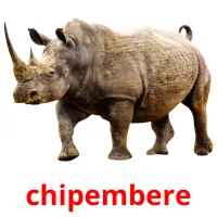 chipembere picture flashcards