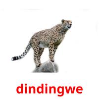 dindingwe picture flashcards