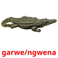 garwe/ngwena picture flashcards