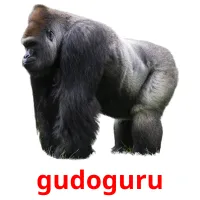 gudoguru picture flashcards