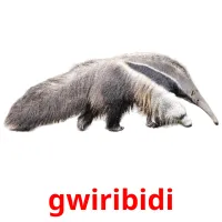 gwiribidi picture flashcards