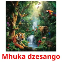 Mhuka dzesango picture flashcards