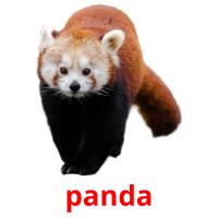 panda picture flashcards