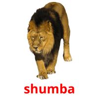 shumba picture flashcards