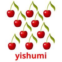 yishumi picture flashcards