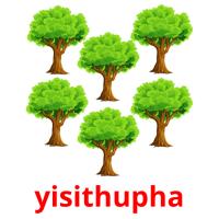 yisithupha picture flashcards