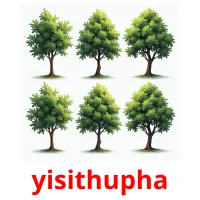 yisithupha picture flashcards