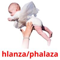 hlanza/phalaza picture flashcards