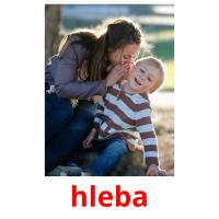 hleba picture flashcards