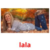 lala flashcards illustrate
