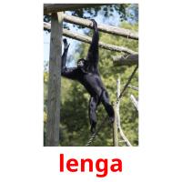 lenga picture flashcards