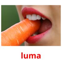 luma picture flashcards