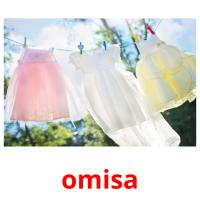 omisa picture flashcards