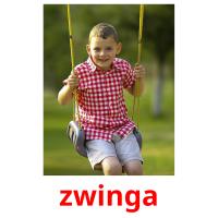 zwinga picture flashcards