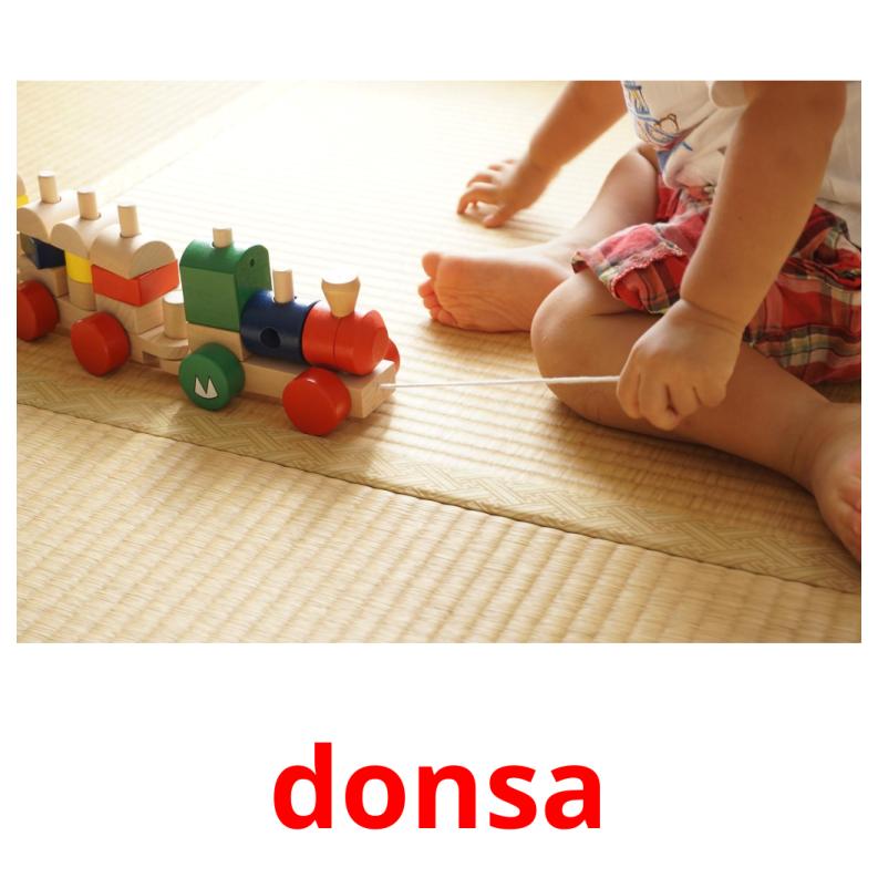 donsa picture flashcards