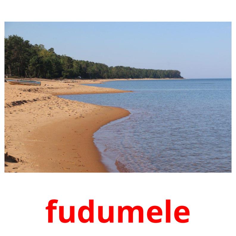 fudumele picture flashcards