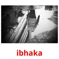 ibhaka cartões com imagens