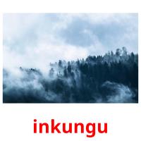 inkungu picture flashcards
