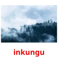 inkungu picture flashcards