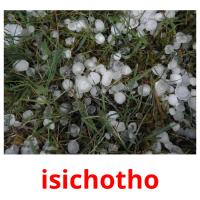 isichotho picture flashcards