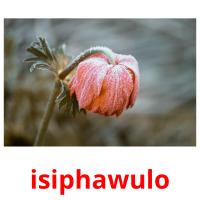 isiphawulo picture flashcards
