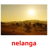 nelanga picture flashcards