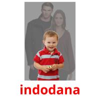 indodana picture flashcards