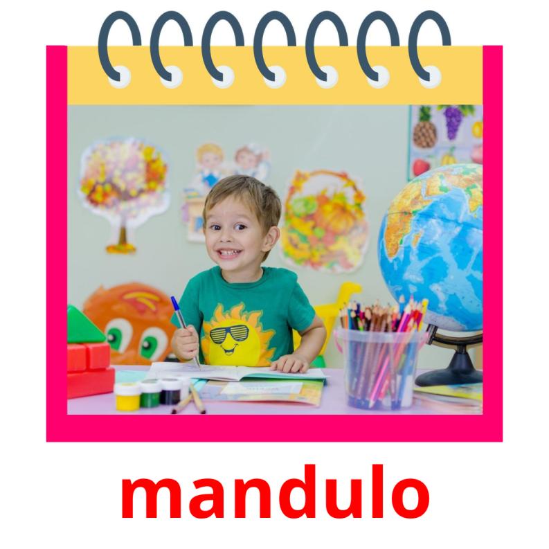 mandulo picture flashcards