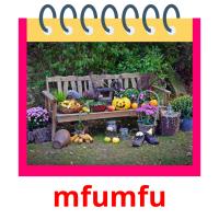 mfumfu picture flashcards