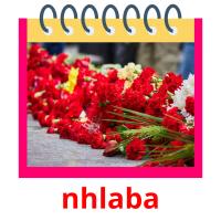 nhlaba flashcards illustrate