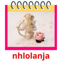 nhlolanja cartões com imagens