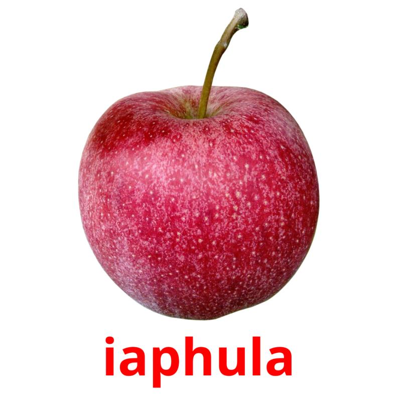 iaphula Bildkarteikarten
