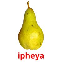 ipheya picture flashcards
