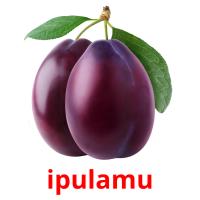 ipulamu picture flashcards