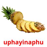 uphayinaphu flashcards illustrate