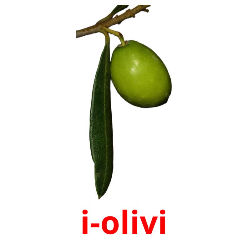 i-olivi flashcards illustrate
