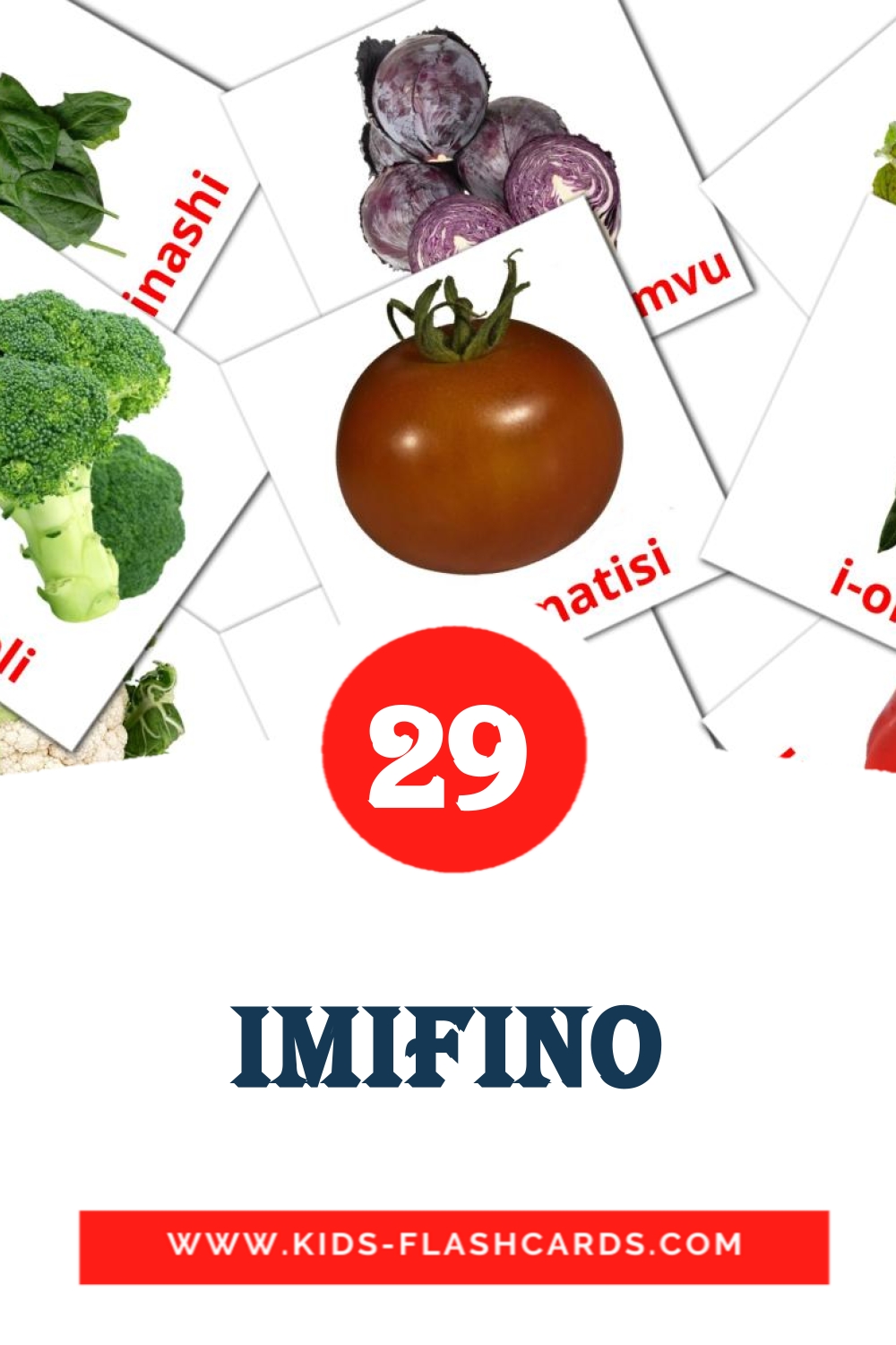 29 Imifino fotokaarten voor kleuters in het zulu