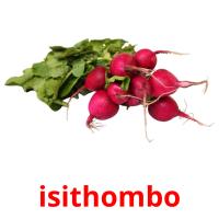 isithombo flashcards illustrate