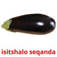isitshalo seqanda picture flashcards
