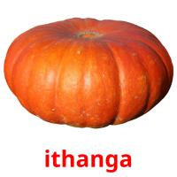 ithanga picture flashcards