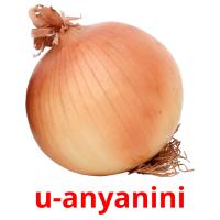 u-anyanini flashcards illustrate