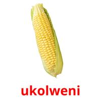ukolweni flashcards illustrate