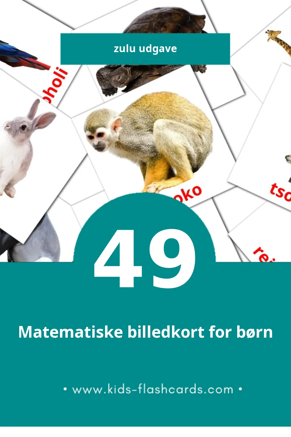 Visuelle billedkort for børn om Mhuka til småbørn (49 kort på Zulu)